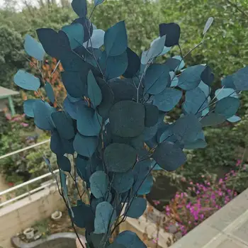80-85 g,Konzervirane Eucalyptus Šopek,Dekorativni Posušen Cvet Poroka Doma Božični Okraski,Pravi rastlin spadajo dekor