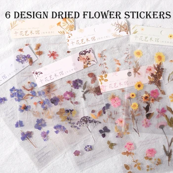 6Designs Naravnih Daisy Detelja Japonske Besede Nalepke Pregleden PET Materiala, Cvetje Listje Rastlin Deco Nalepke